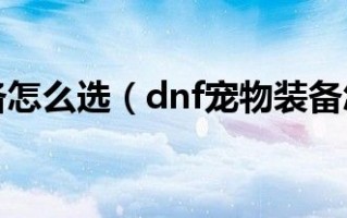  dnf粉宠物装备怎么获得,DNF什么地方出粉色的宠物装备？